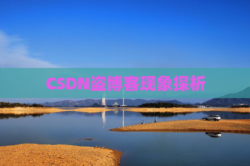 CSDN盗博客现象探析